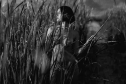 Moody black-and-white editorial shooting of a nude model among tall reeds, cinematic low-key lighting, photographer for projects in Europe.