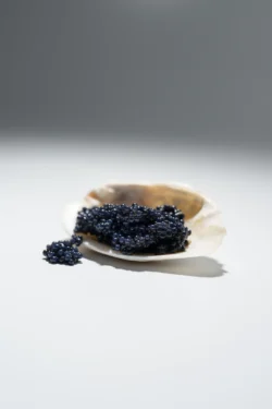 Sedefli bir kabuk üzerinde parlak siyah havyar, yumuşak ışık ve sığ derinlik ile stüdyo çekimi, Avrupa için cilalı ürün fotoğrafçılığı.