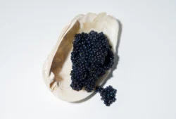 Temiz bir fonda beyaz bir kabuk içinde siyah havyar, canlı stüdyo aydınlatması - Avrupa projeleri için Berlin'de gösterişli ürün fotoğrafçılığı.